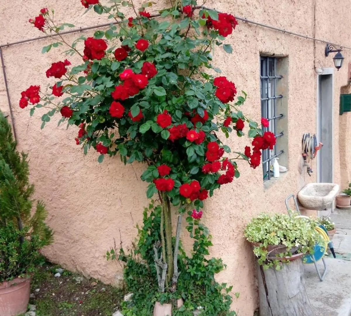 Casa Di Campagna Il Granaio Barberino di Mugello 0*,